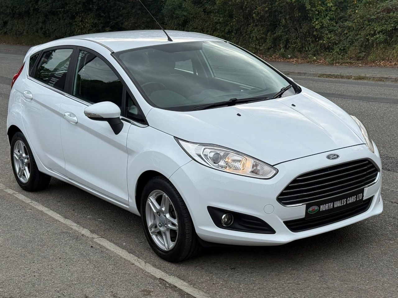 2013 Ford Fiesta