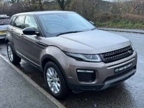 LAND ROVER RANGE ROVER EVOQUE 2015 (65) at North Wales Car Sales Mochdre