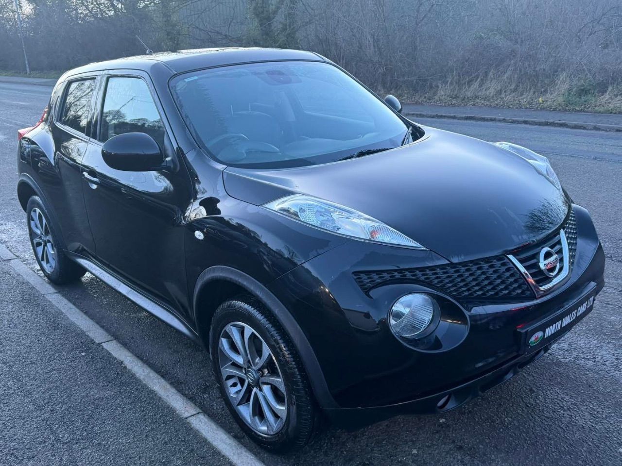 2014 Nissan Juke