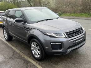 LAND ROVER RANGE ROVER EVOQUE at North Wales Car Sales Mochdre