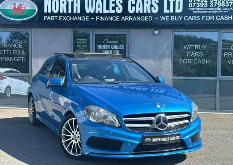 Happy customers with new car